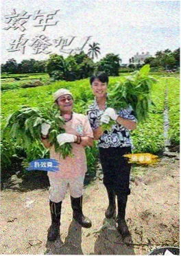 一拍即合 音乐竞演综艺在线观看海报